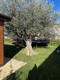 Dependance Con Giardino A Pescara - 4