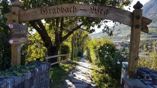 Ferienwohnung Lafreid Algund - Algund - 5