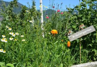 Apartment Tschigat Leilichhof - 9