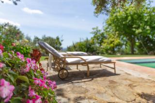 Los Algarrobos Gaucin - 7