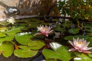 Appartamento Amare 1 - 5