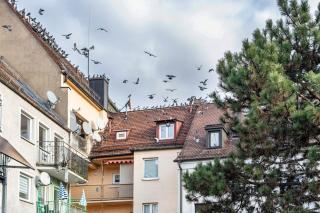Apartment in Nürnberger Altstadt - 9