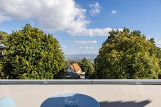 Wunderschönes Panorama Penthouse - 8