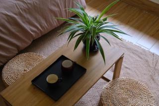 Kén Stay - Sun drenched Living & Local Foodie Hub - 5