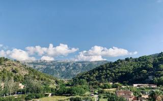 Soller beach apartment - 5