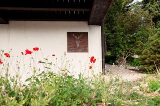 Hirsch-Lounge - 3