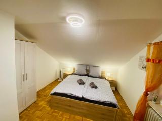 Friedrichshafen im Grünen genießen - Friedrichshafen - 4