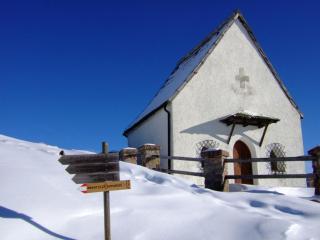 App Sonnenblume Biohof Unterspisser - 6