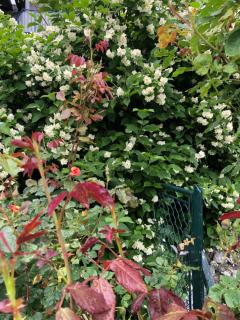 Appartment Isabelle Home - 8