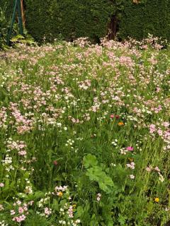 Appartment Isabelle Home - 5