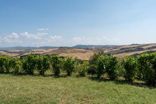 Agriturismo Carpineto - 5