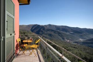 Agriturismo Il nido tra gli ulivi - 8