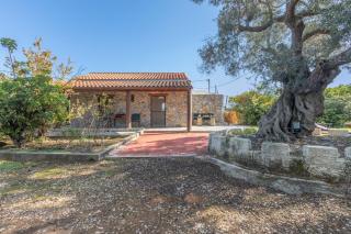 Stone house among trees - 3