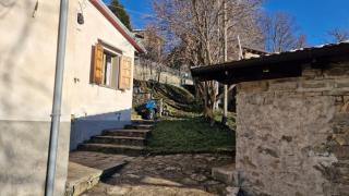 Casetta immersa nella natura - 7