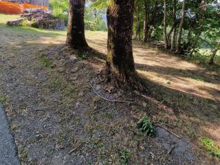 Casetta immersa nella natura - 1