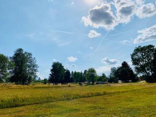 Ferienwohnung Morgensonne - 6