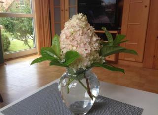 Ferienhaus Gut Düneburg - Haren - 9