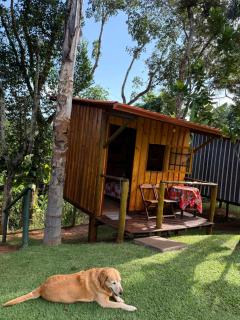Cabana Hostel Eco Park - 9