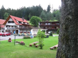 Enri Theater und Pension Bruderhaus - Altensteig - 1