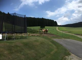 Beierleshof - 2
