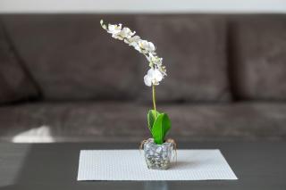 Ferienwohnung Eva - 6