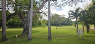 The Fairway Viewpoint - 6