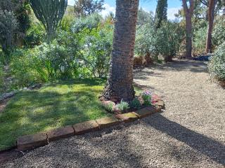 Apt in Villa Serra - 4