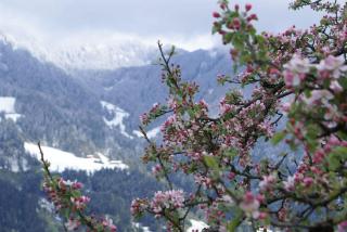 Ferienwohnung Dornauer - 9