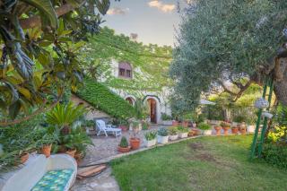 Tenuta del Normanno - 8