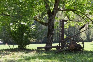 Gîte Le Pressoir domaine de jouani - 2