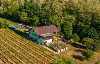 Gîte Du Weinbaum - 7