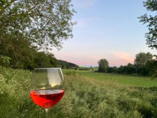 Ferienwohnung 'dahoimelig' - 5