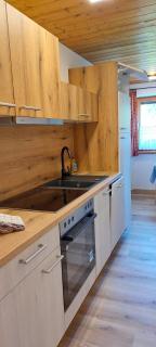 Fewo 2 Haus am Lärchenhang Leutasch - 1