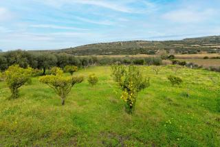 La Villa del Relax - 6