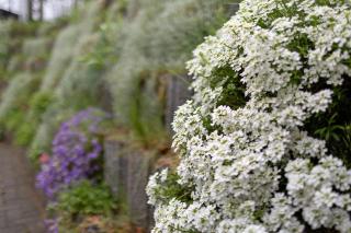 Ferienhaus Günther - 6