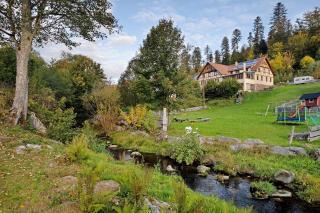 Haus Löwen - Forbach - 2