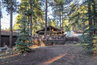Twin Pines Cabin in the Woods - 4