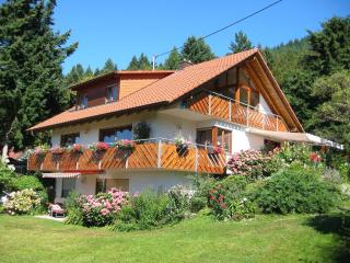 Haus Fernblick - 0