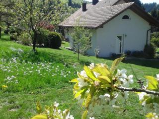 Haus Fernblick - 7