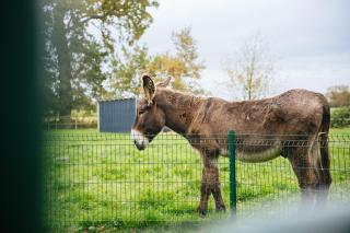 Gîte La Malcotais - 5