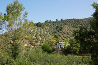 Casa Rural Los Angostones - 9