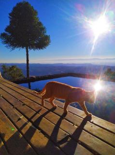 Janela do Céu - Serra da Bocaina - 8