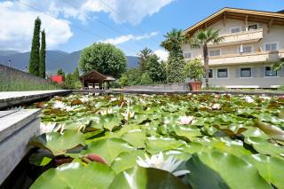 Weinsepphof Ferienwohnung 6 - 2