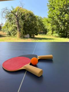 Case di Mare Chalet Bougainvillée - Cervione - 9