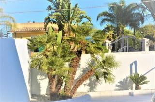 Villa Anny Fronte Mare - 6