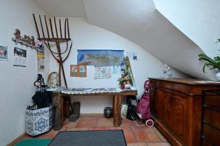 Les Hélianthèmes - 2