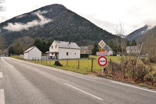 Les Hélianthèmes - 1