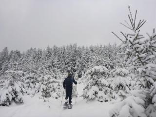 Ferienwohnung Sunnenviul - 9