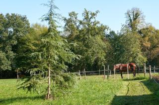 L'Envol - Oasis Ressource - 1
