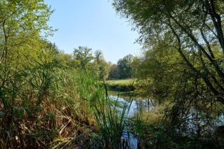 L'Envol - Oasis Ressource - 2